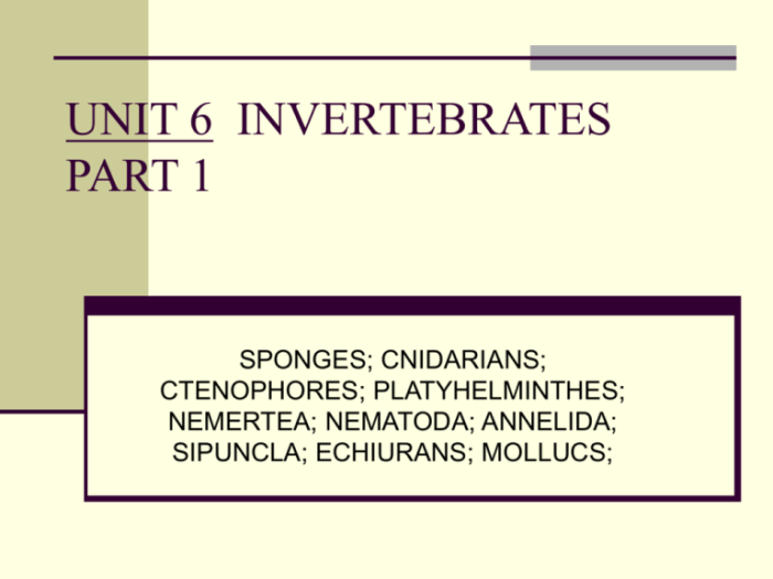 Section 28-4 echinoderms answer key