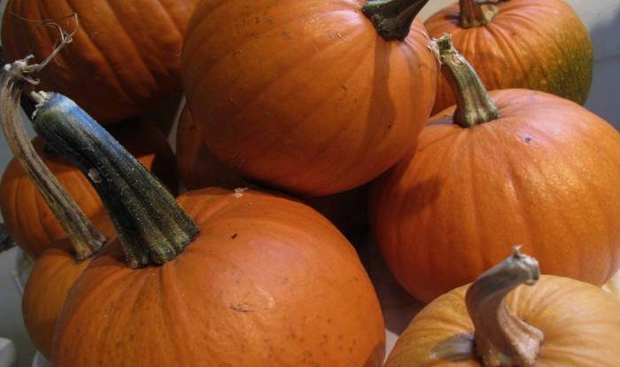 Pie pumpkin turn homemade into pumpkins