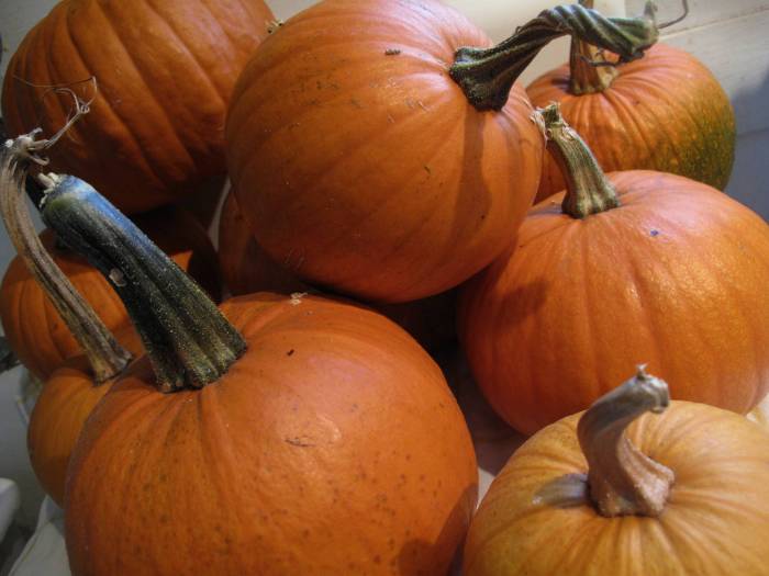 Pie pumpkin turn homemade into pumpkins