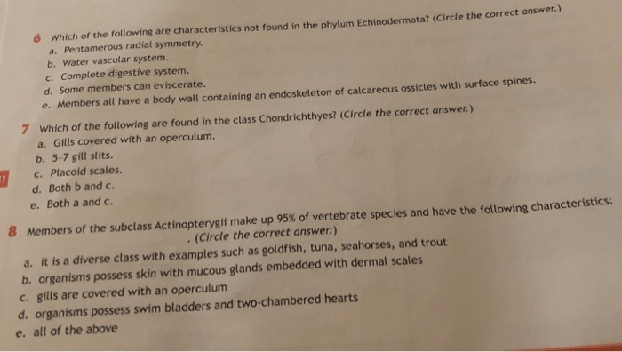 Section 28-4 echinoderms answer key